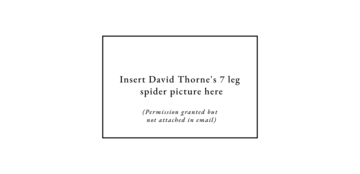 Insert David Thorne's 7 leg spider picture here, (Permission granted but not attached in email)